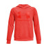 Sudadera con capucha Under Armour Rival Big Logo K Dark Orange