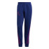 Pantalones largos adidas Reverse Winterized Gráfico M Azul/Violeta