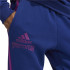 Pantalones largos adidas Reverse Winterized Gráfico M Azul/Violeta