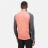 Forro polar Regatta Hepley Half-Zip Lightweight M Coral