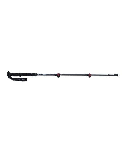 Bastones de trekking Joluvi Graphital