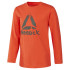 Camiseta Sportswear Reebok Boys Training Essentials