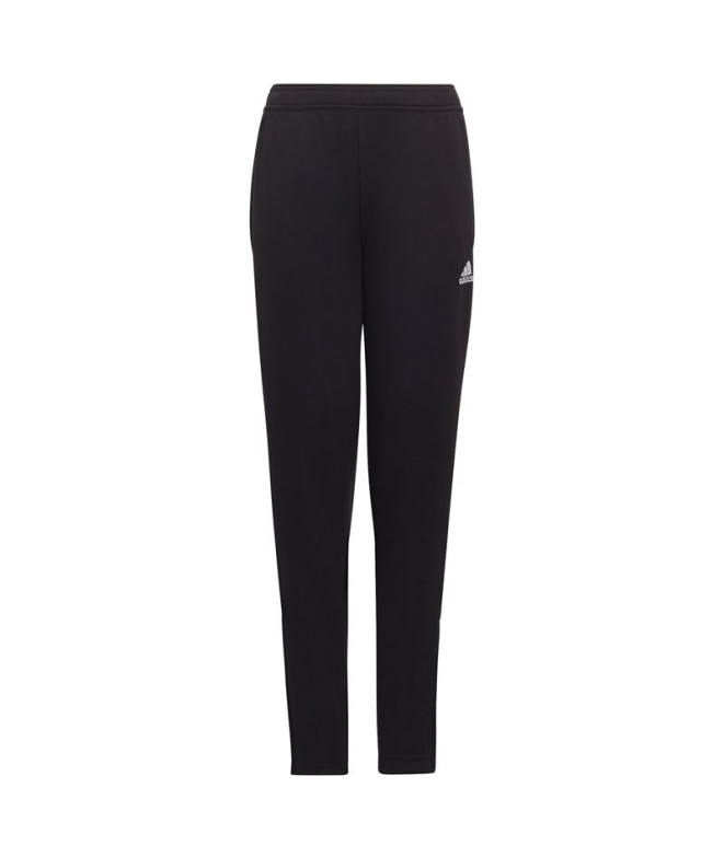 Pantalones de Fútbol adidas Ent22 Tr Y Infantil