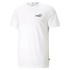 Camiseta Puma Essentials Small Logo Hombre