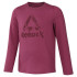 Camiseta Sportswear Reebok Essentials Longsleeve