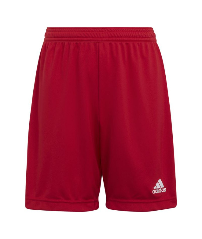 Pantalones de Fútbol adidas Ent22 Infantil