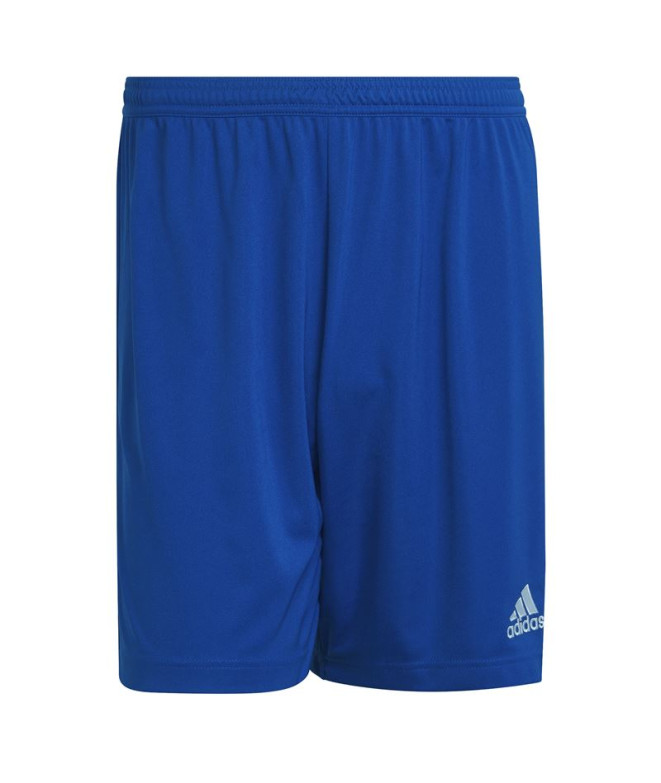Pantalones de Fútbol adidas Ent22 Hombre