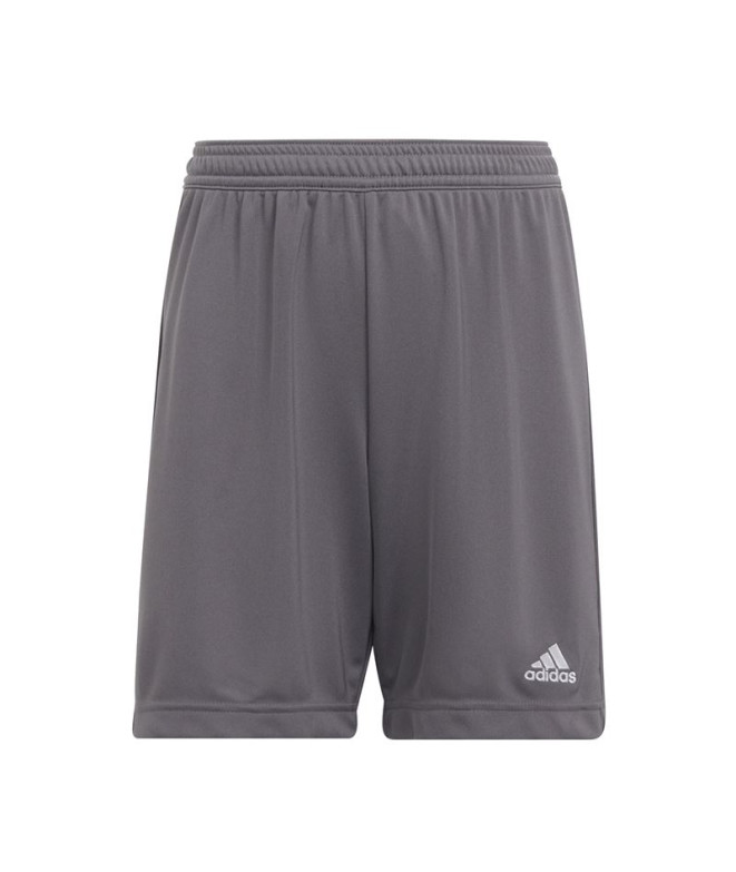Pantalones de Fútbol adidas Ent22 Y Infantil