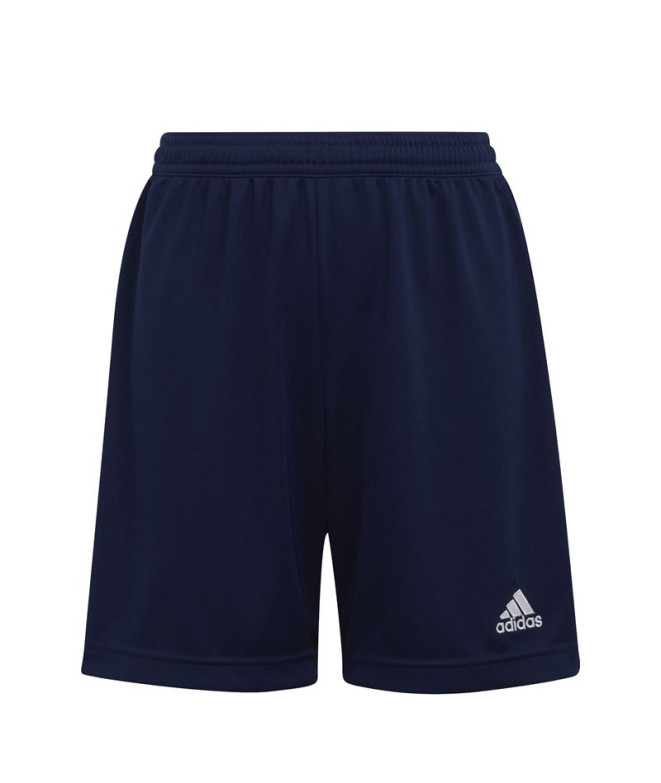 Pantalones de Fútbol adidas Ent22 Y Infantil