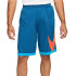 Pantalones de baloncesto Nike Dri-FIT M Blue