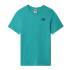 Camiseta The North Face Redbox Green