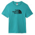 Camiseta The North Face Easy Green