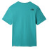 Camiseta The North Face Easy Green