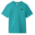Camiseta The North Face Simple Dome M Green