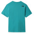 Camiseta The North Face Simple Dome M Green
