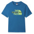 Camiseta The North Face Graphic M Blue