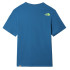 Camiseta The North Face Graphic M Blue