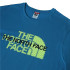 Camiseta The North Face Graphic M Blue