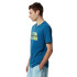 Camiseta The North Face Graphic M Blue