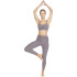 Mallas de fitness Puma Studio Yogini Luxe Mesh Inset W Gray