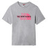 Camiseta The North Face Graphic Print M Gray