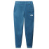 Pantalones de fitness The North Face Mountain Athletics M Blue