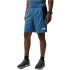 Pantalones cortos de fitness The North Face Mountain Athletics M Black