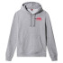 Sudadera The North Face Graphic Print M Gray
