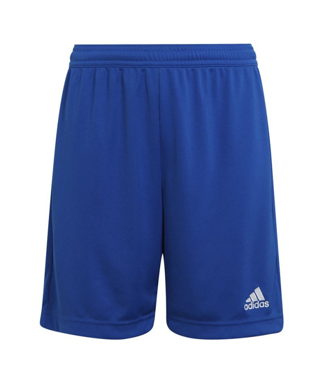 Pantalones de Fútbol adidas Ent22 Y Infantil