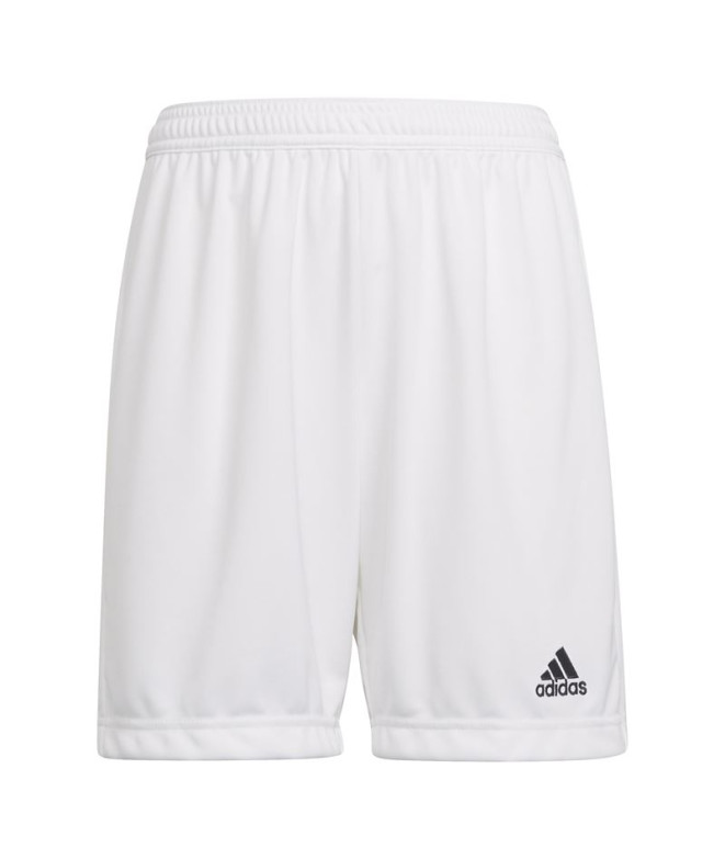 Pantalones de Fútbol adidas Ent22 Y Infantil