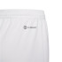 Pantalones de Fútbol adidas Ent22 Y Infantil