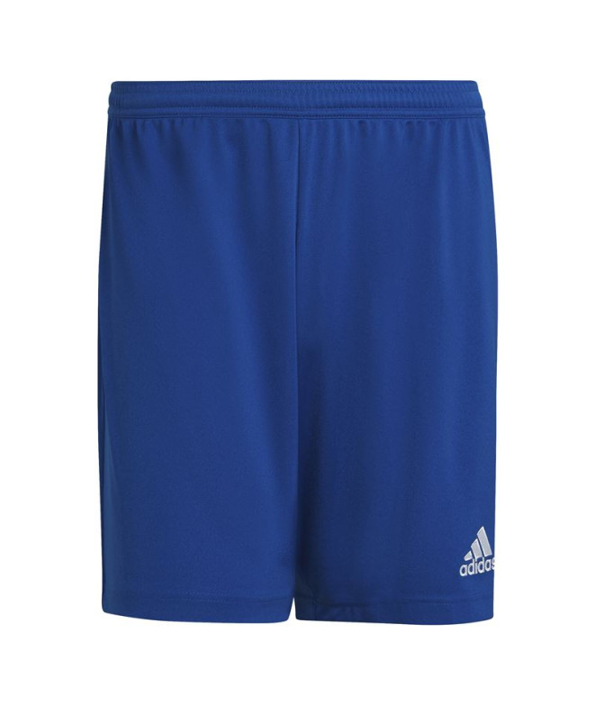 Pantalones de Fútbol adidas Ent22 Hombre