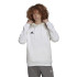 Sudadera de Fútbol adidas Ent22 Hoody Hombre