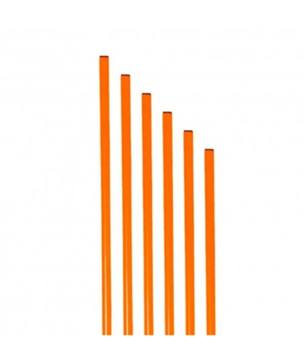 Pica de Entrenamiento Zastor Orange