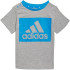 Conjunto adidas Essentials Kids Grey