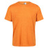 Camiseta de fitness Regatta Fingal Edition Hombre OR