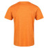 Camiseta de fitness Regatta Fingal Edition Hombre OR