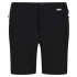 Pantalones de montaña II Regatta Hombre BK