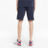 Pantalones cortos Puma Essentials Jersey Hombre Blue
