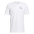 Camiseta adidas Avatar James Harden Graphic Hombre WH