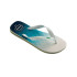 Chanclas de natación Havaianas Brasil Fresh WH