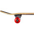 Skate Tony Hawk SS 180 Complete Golden Hawk Bl