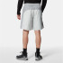 Pantalones The North Face Hydrenaline 2000 Hombre Grey