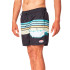 Bañador Rip Curl Framed Volley Hombre estampado
