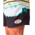 Bañador Rip Curl Framed Volley Hombre estampado