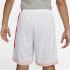 Pantalones de baloncesto Nike Dri-FIT Hombre WH