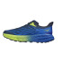 Zapatillas de Trail HOKA HOKA Speedgoat 5 Azul/Verde Hombre