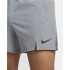 Pantalones de fitness Nike Pro Dri-FIT Flex Hombre GR
