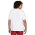 Camiseta Nike Jordan Sport Dri-FIT Hombre WH