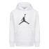 Sudadera Nike Kids Jordan Jumpman Logo Infantil WH